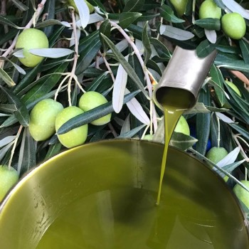 Kanister Olivenöl (5l)