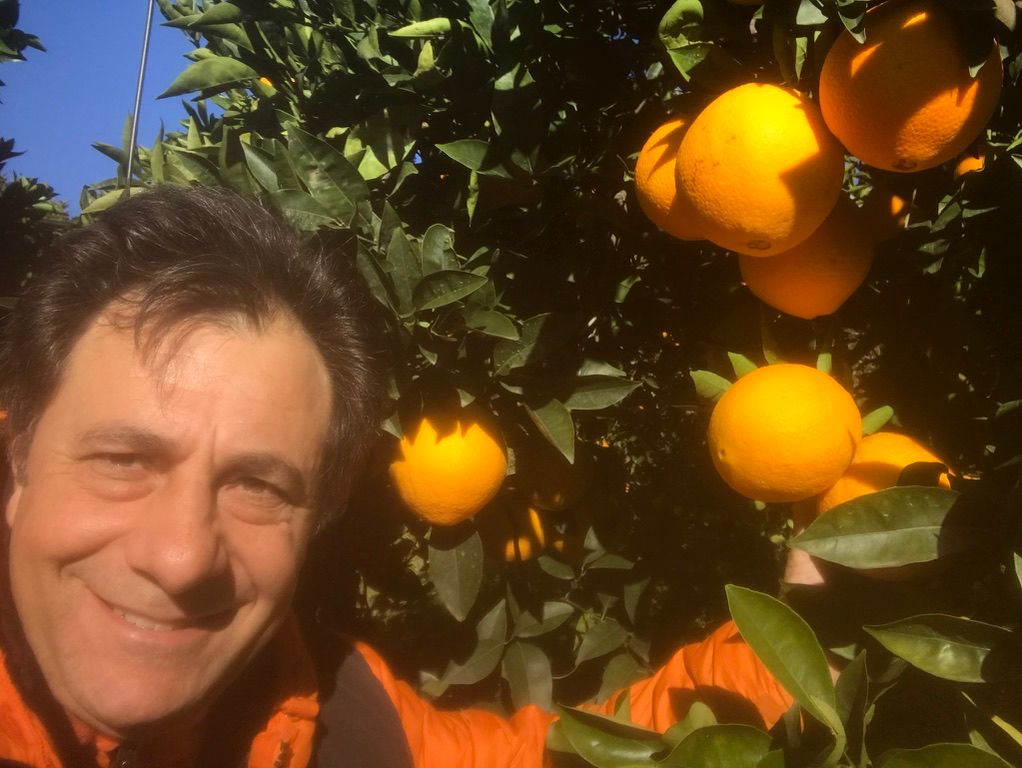 Gallery item b50444a5-7901-4746-83f5-6042f74fcc10