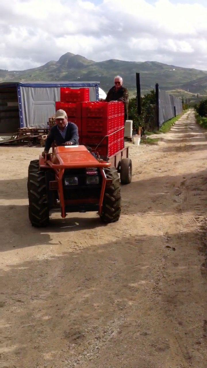 Gallery item e468bfe7-330a-472d-b629-932af93bf2ef