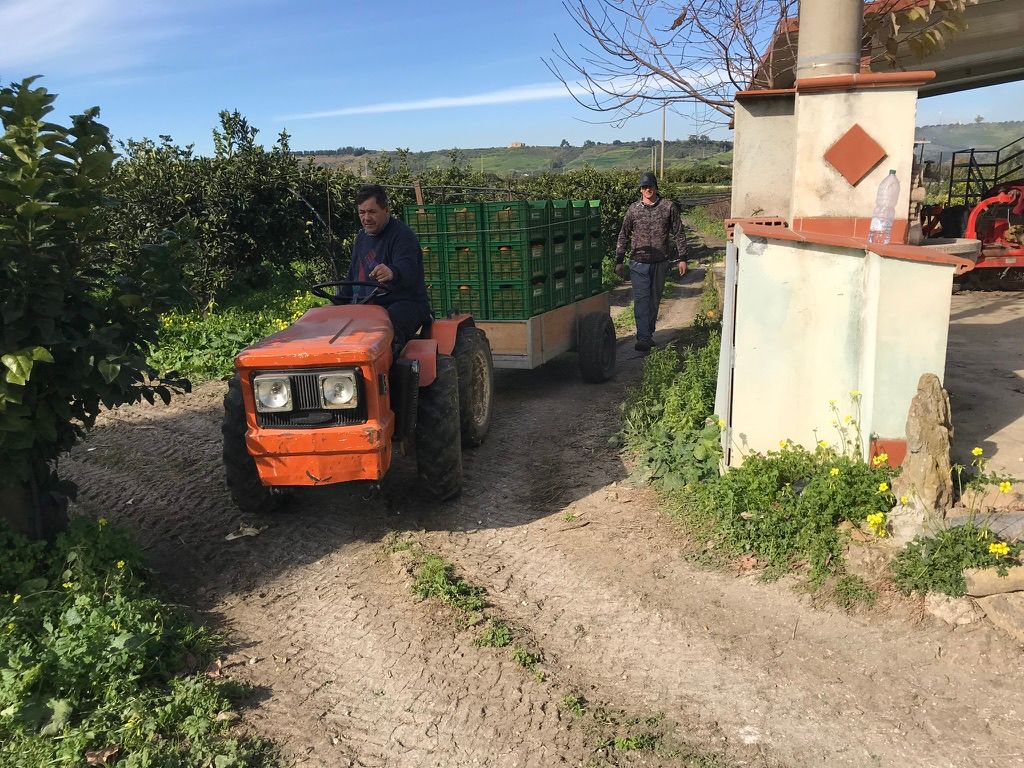 Gallery item 2cfcad09-2f18-4a02-9a97-231af29965a5