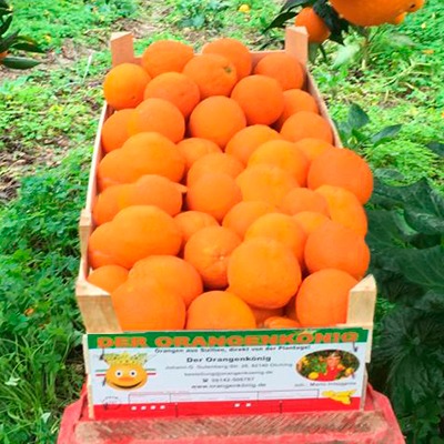 Kleine Kiste Saftorangen