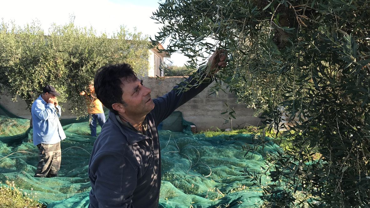 Gallery item d1ca40f3-4b54-4840-a476-024424f1b928