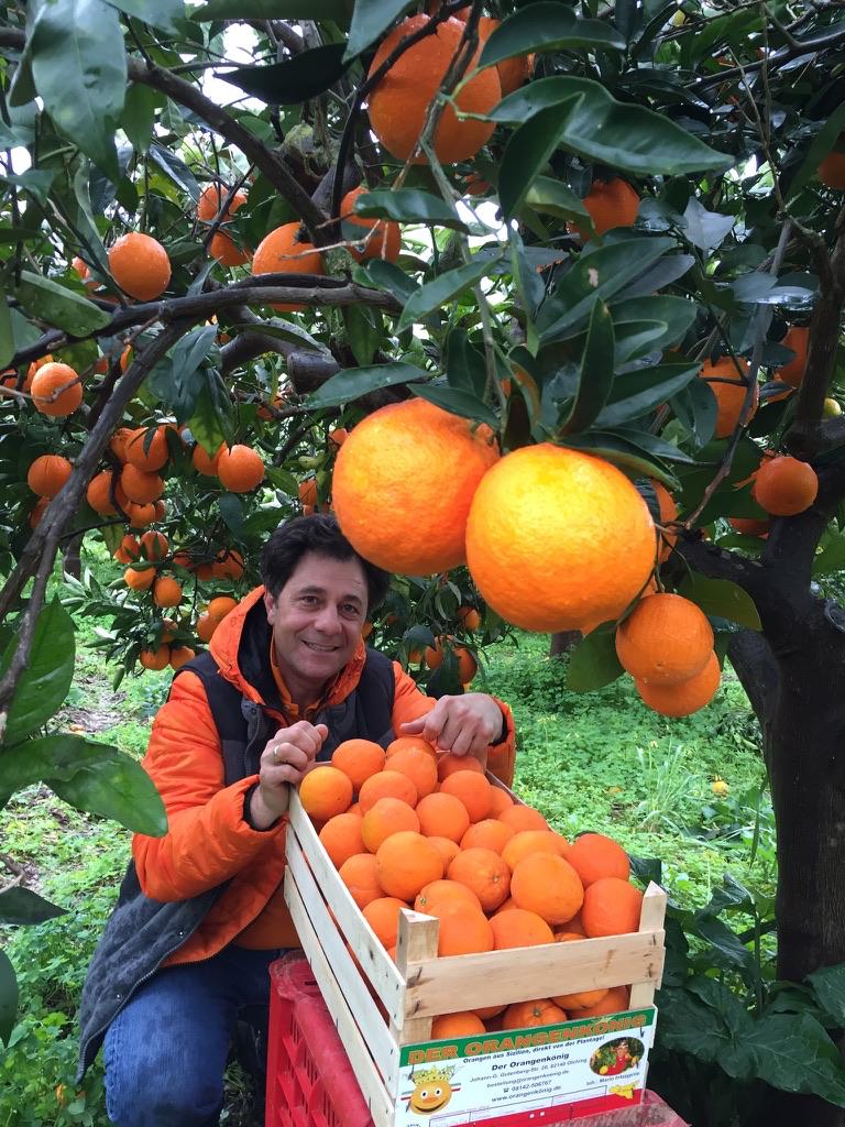 Gallery item 597e5fd3-57cd-4986-a779-a5bad189d057