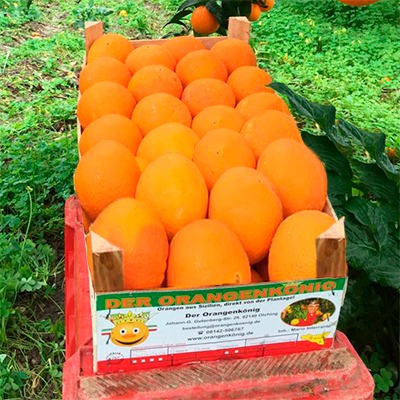 Kleine Kiste Essorangen