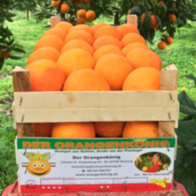 Große Kiste Essorangen
