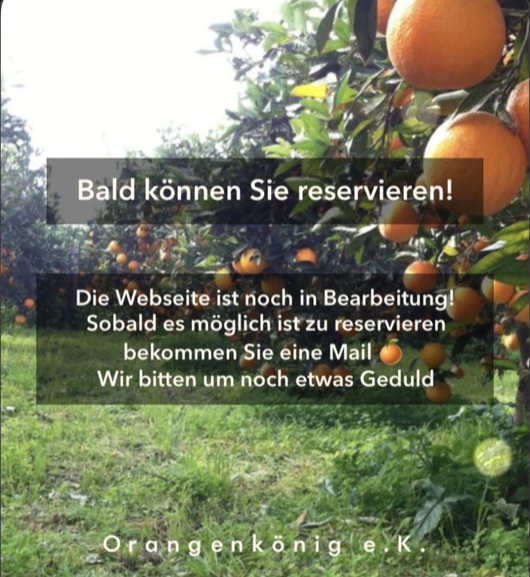 Die neue Webseite noch in Bearbeitung